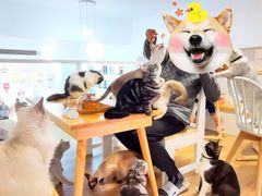 -李小姐の猫咖啡馆(五角场店)
