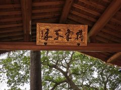 -天台山赤城山景区