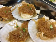 扇贝-胶东海鲜大排档(北太平庄店)