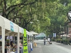 -龙坞茶村