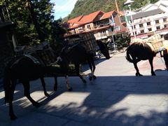 -藏龙百瀑风景区