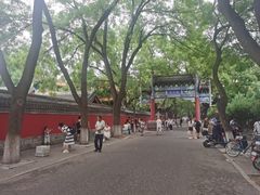 -北京国子监胡同