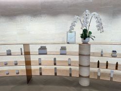-in BEAUTY法国原液之谜