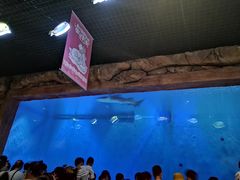 -华夏文旅海洋公园