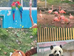 -无锡动物园·太湖欢乐园