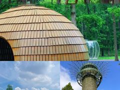 -黄海国家森林公园