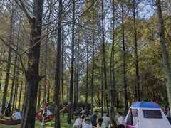 -成都南湖公园