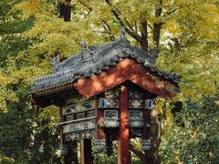 -迎泽公园