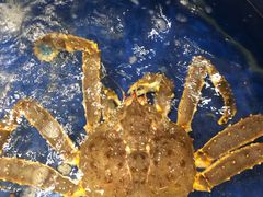 -海景壹号大酒店(滨湖店)