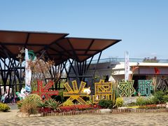 -上海长兴岛郊野公园