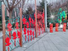 -南宫五洲植物乐园