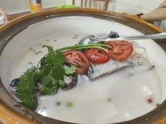 -全乐鱼馆·淳牌有机鱼直营店