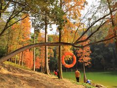 -广州市白云山风景名胜区
