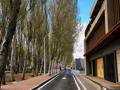 -吉林大学(前卫南区)