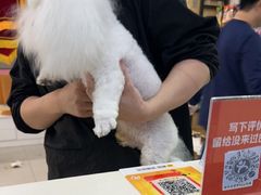 -全心全意连锁动物医院·微创中心·内科急重症·心脏专科(丰管路店)
