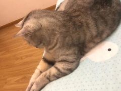 -美联众合动物医院·24h京西诊疗中心