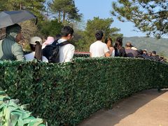 -木兰云雾山