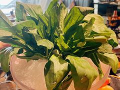 -王家渡火锅(金宝汇店)