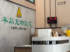 -半岛宠物医院24小时(科华中路店)