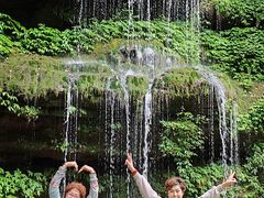 -中国大熊猫保护研究中心雅安碧峰峡基地