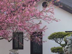 -莫愁湖公园