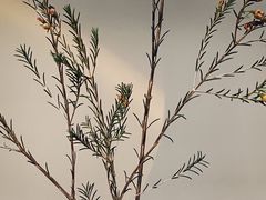 -奈诺甜品·生日蛋糕·下午茶(古城店)