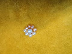 -白沙门生态公园