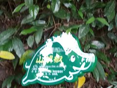 -呀诺达热带雨林