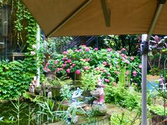 -谷咖啡·鲜花绿植花园餐厅