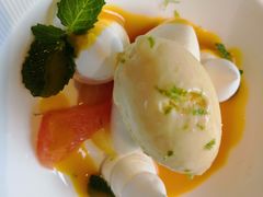 -蝶舍·MAISON PAPILLON