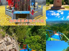 -台儿庄古城
