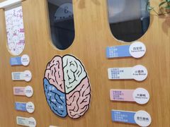 -澳洲袋鼠早教(金辉环球广场店)