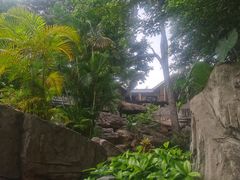 -海口观澜湖火山温泉谷