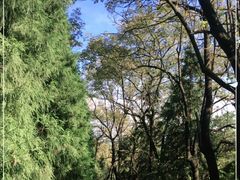 -重庆雨台山风景区