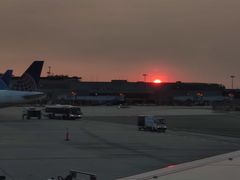 -纽瓦克自由国际机场