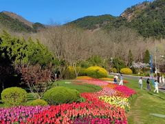 -棒棰岛宾馆景区