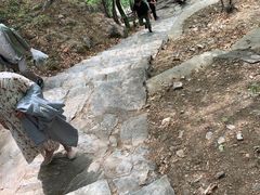 -北京上方山国家森林公园
