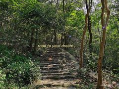 -紫金山山顶公园