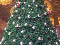 -天津君隆威斯汀酒店