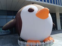 -上海海昌海洋公园