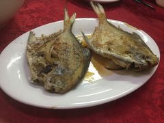 -蛇口康乐快餐鱼仔档(翠苑小区店)