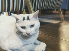 -天地無用GAME BAR