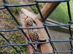 -大连森林动物园