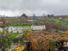 -翠田Green Field Kitchen