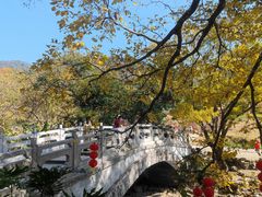 -广州市石门国家森林公园
