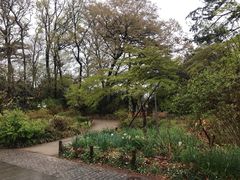 -三鹰之森吉卜力美术馆