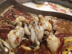 -销魂美蛙鱼头火锅(上海首店)