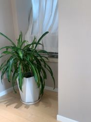 -HEYAN长风荷妍专业脱毛美肤

