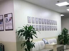 -美联众合动物医院·24h转诊中心