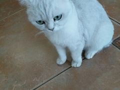 -青春加萌照相馆